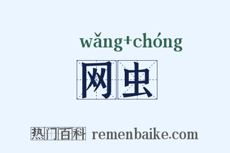 网虫是什么意思的图片